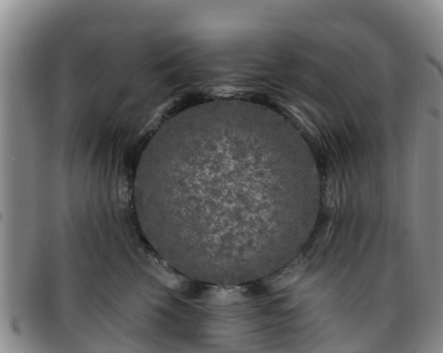 X0000096450569200801311453