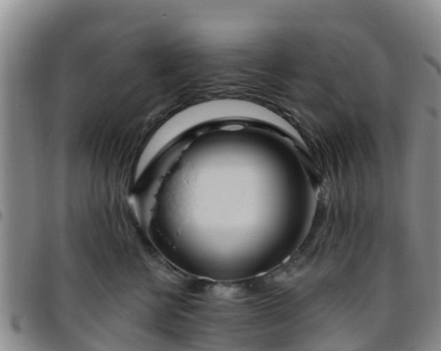 X0000096450570200801311453