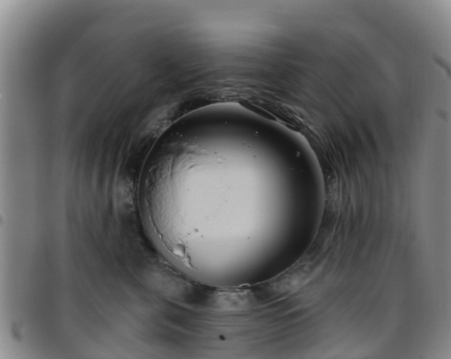 X0000096450571200801311453