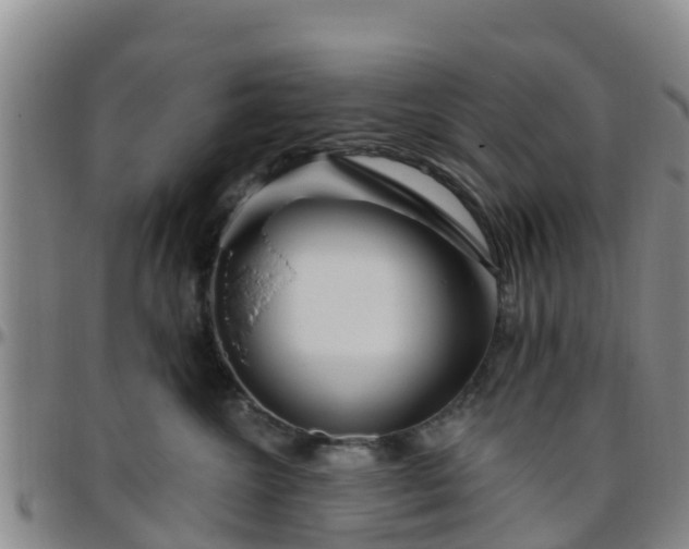 X0000096450572200801311453