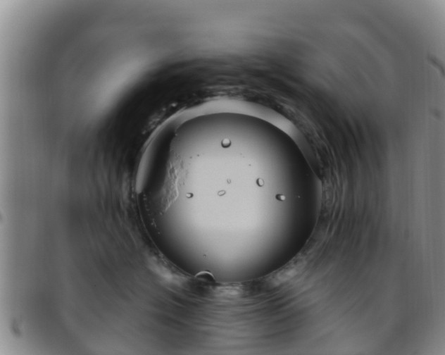 X0000096450574200801311453