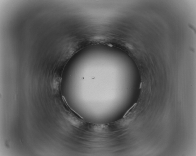 X0000096450576200801311453