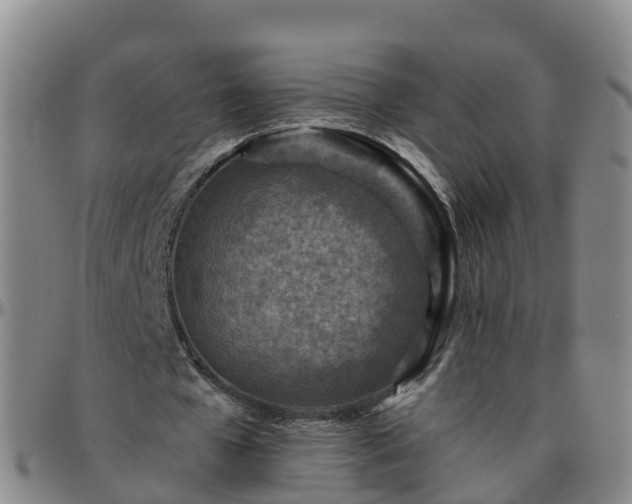 X0000096450577200801311453