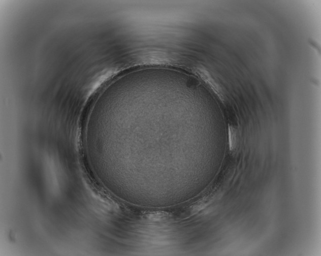 X0000096450579200801311453