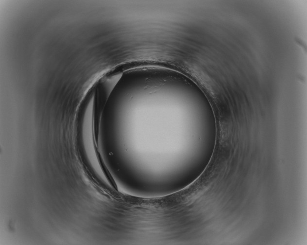 X0000096450580200801311452