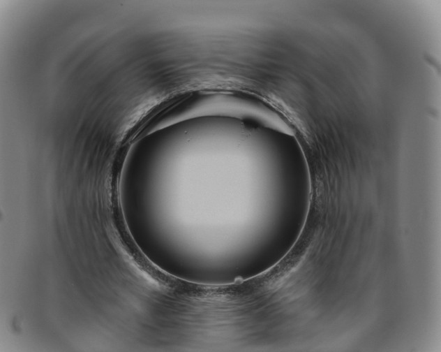 X0000096450581200801311452