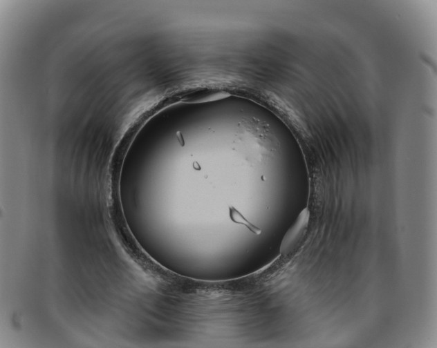 X0000096450582200801311452