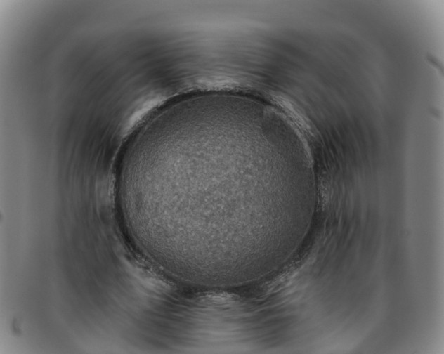 X0000096450583200801311452