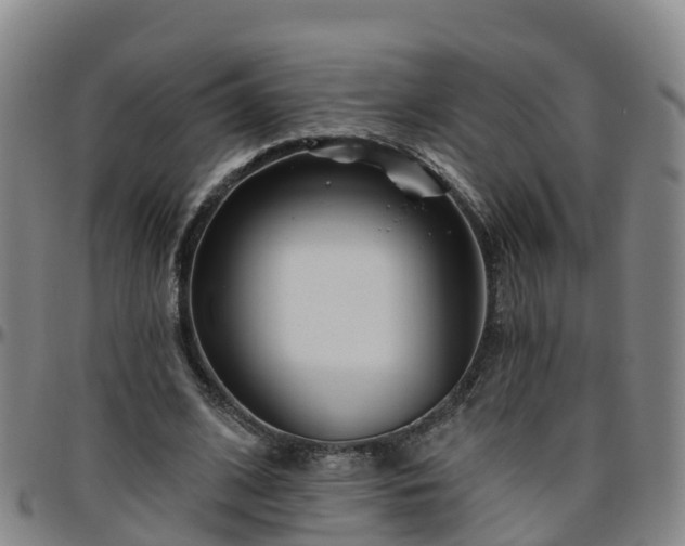 X0000096450584200801311452