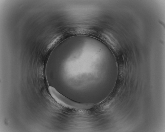 X0000096450585200801311452