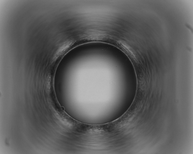 X0000096450586200801311452