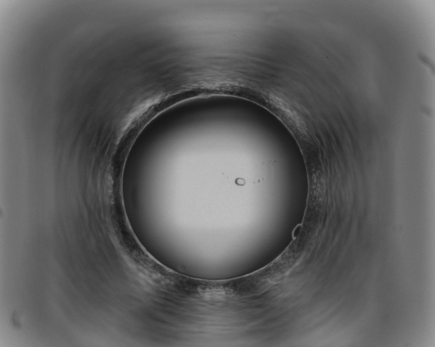 X0000096450587200801311452