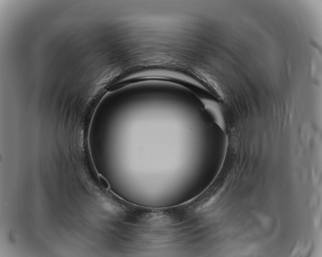 X0000096450589200801311452