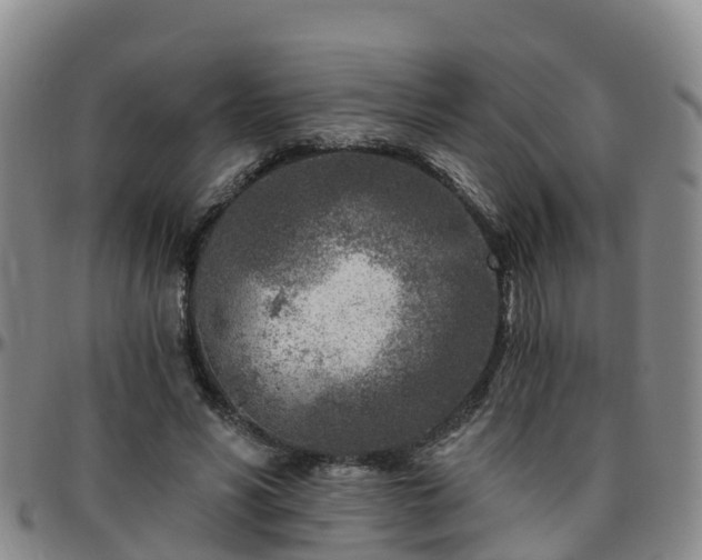 X0000096450590200801311452