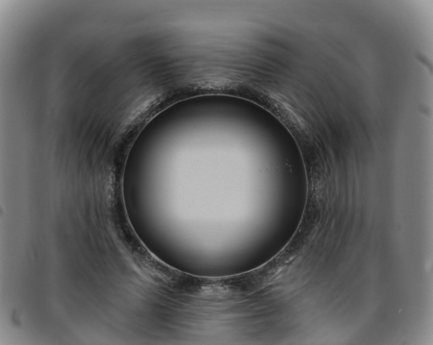 X0000096450591200801311452