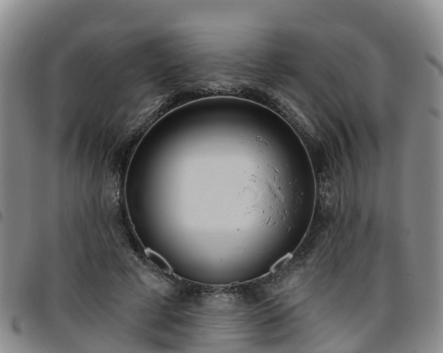 X0000096450593200801311452