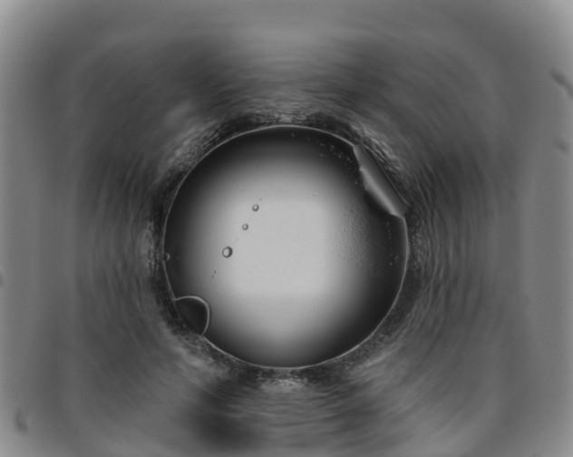 X0000096450594200801311452