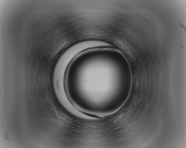 X0000096450595200801311452