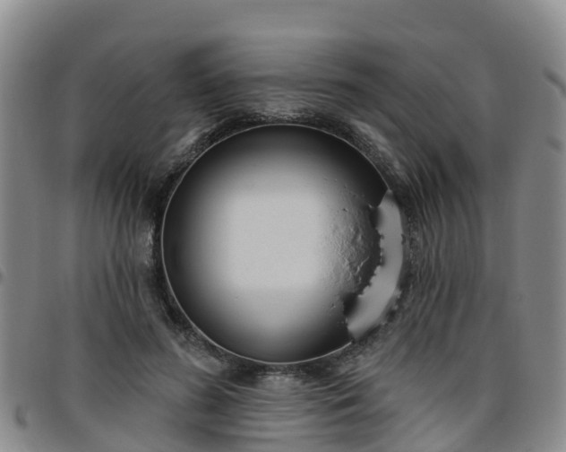 X0000096450596200801311452