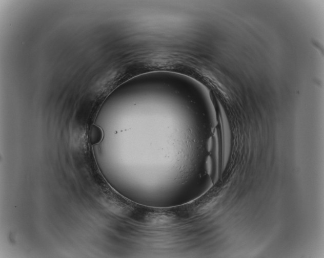 X0000096450597200801311452