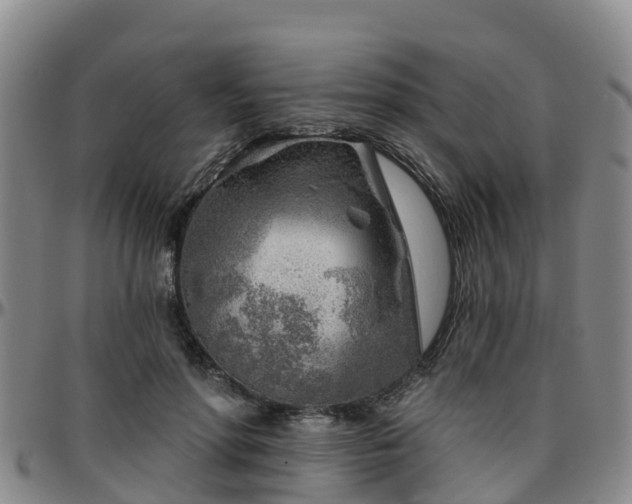 X0000096450598200801311452