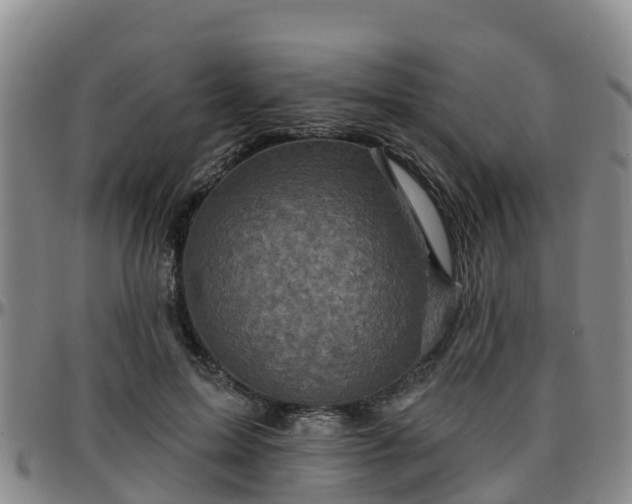 X0000096450599200801311452