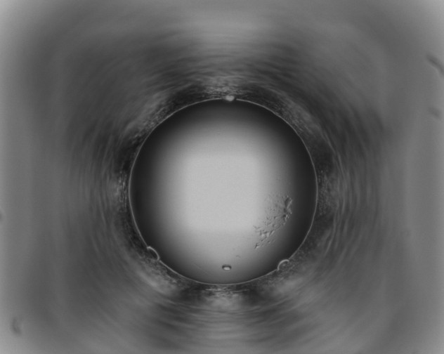 X0000096450601200801311452