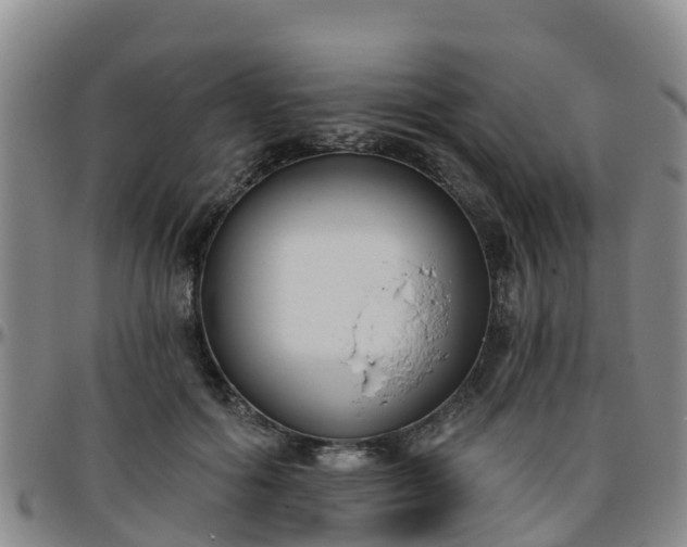 X0000096450602200801311452