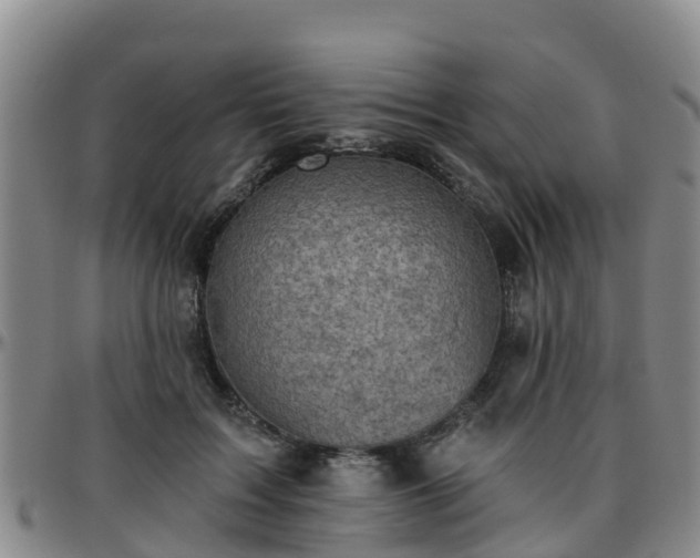 X0000096450603200801311452