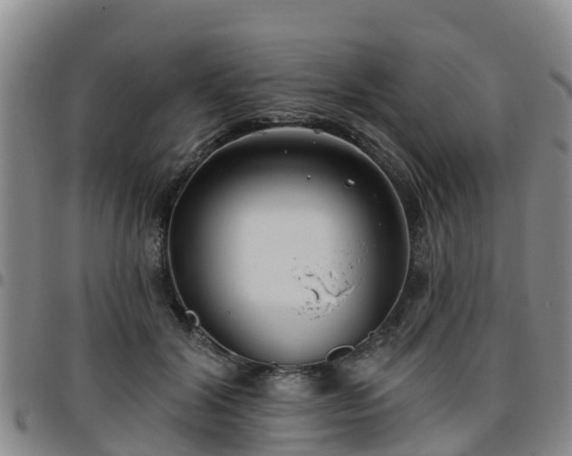 X0000096450604200801311452