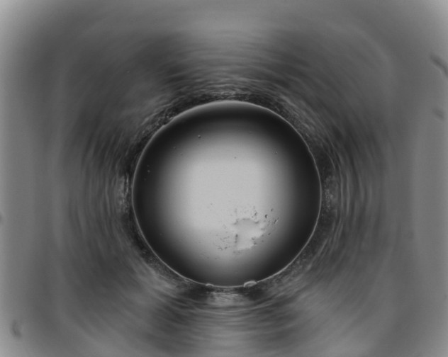 X0000096450605200801311452