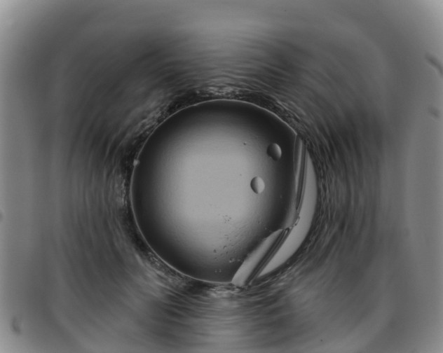 X0000096450606200801311452