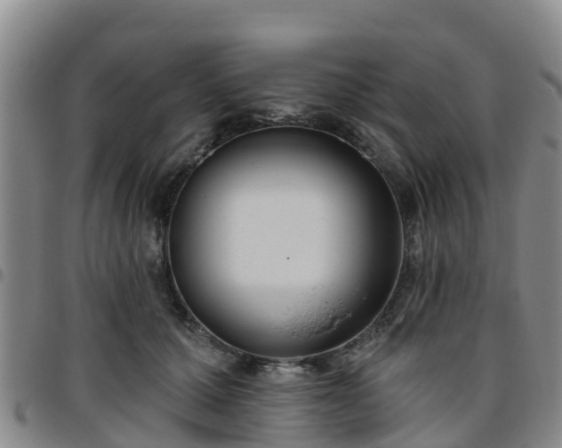 X0000096450607200801311452