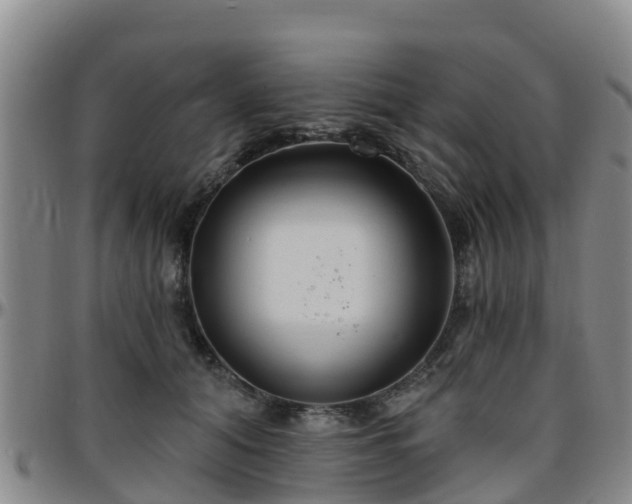 X0000096450608200801311452