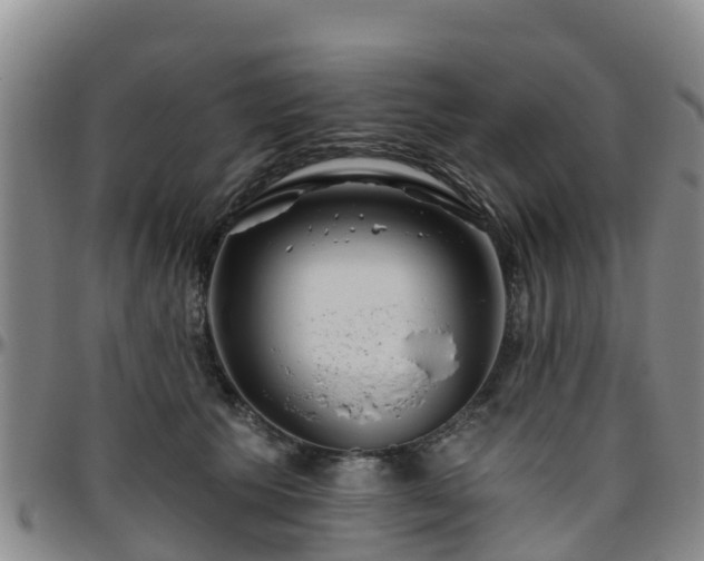 X0000096450609200801311452