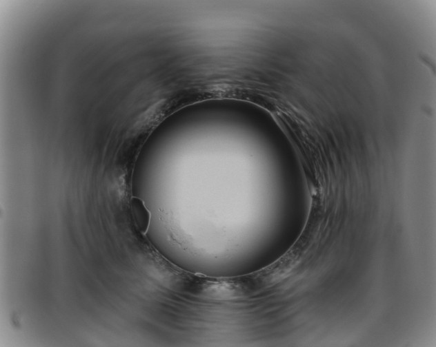 X0000096450611200801311452