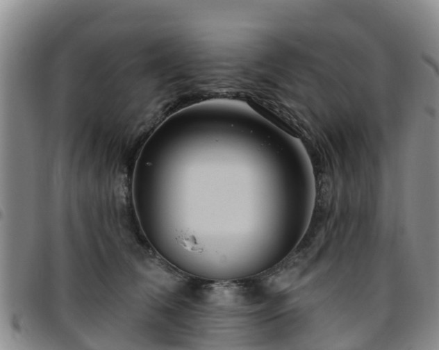 X0000096450612200801311452