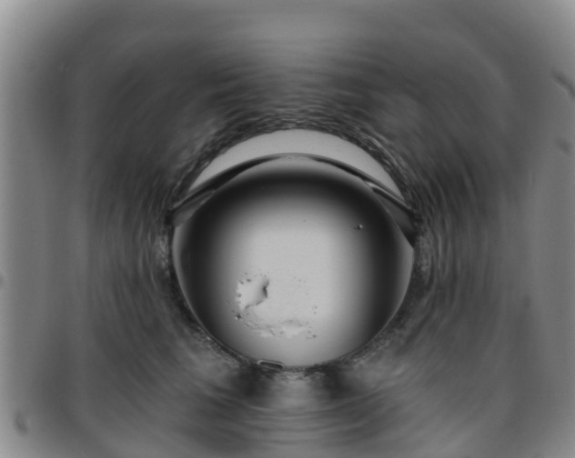 X0000096450613200801311452