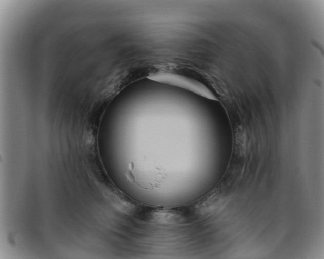 X0000096450614200801311452