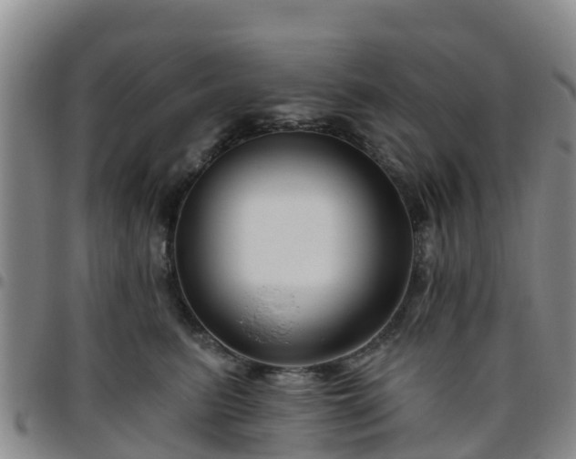 X0000096450615200801311452