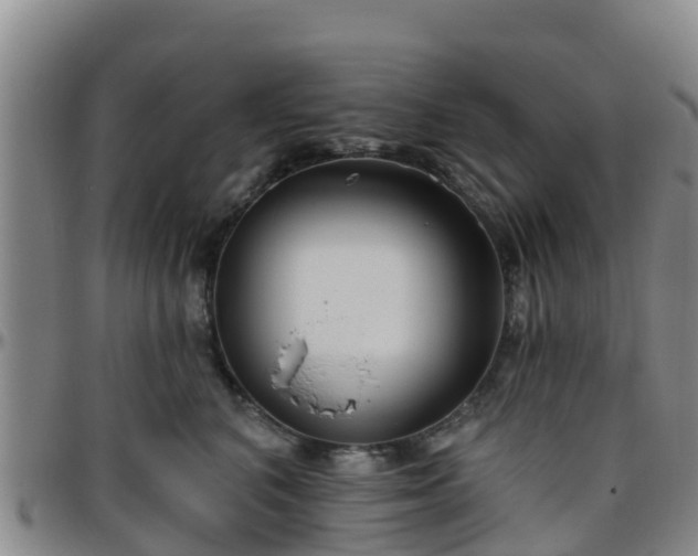 X0000096450616200801311452