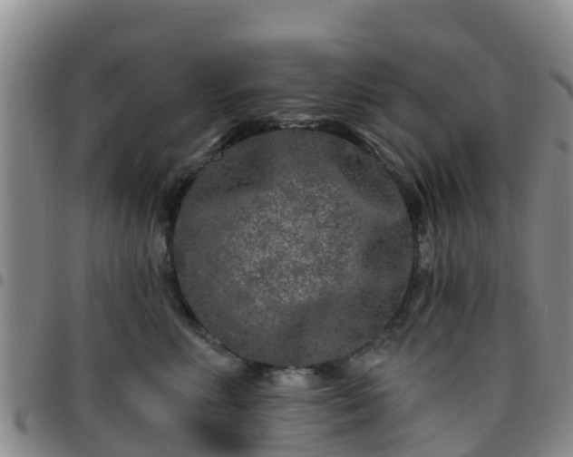 X0000096450618200801311452