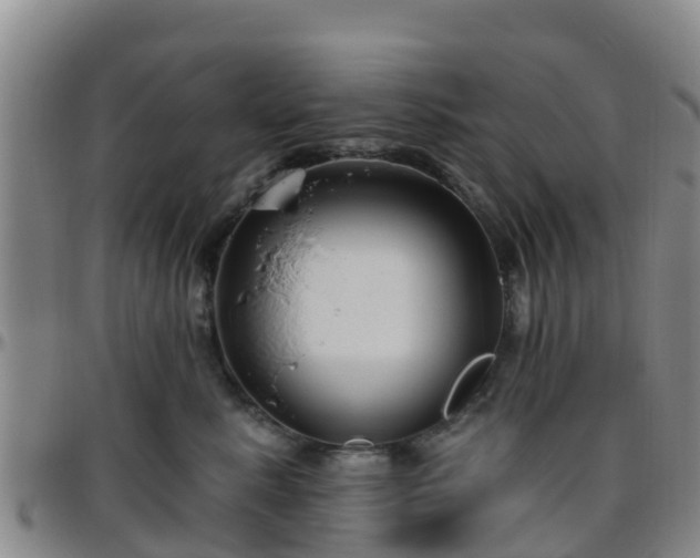 X0000096450619200801311452