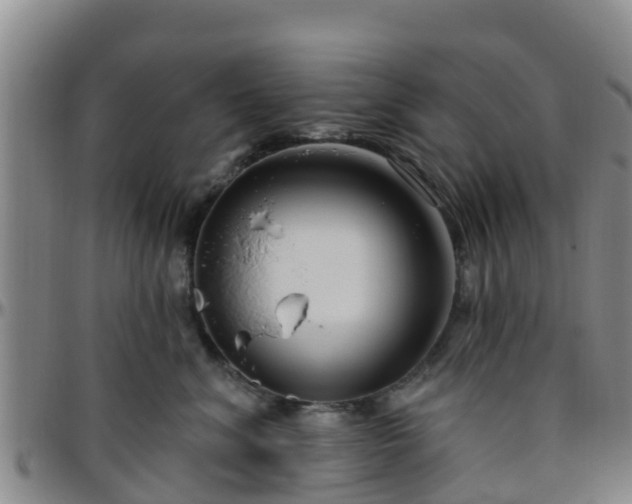 X0000096450620200801311452