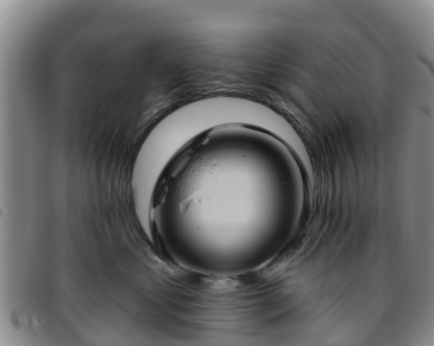 X0000096450621200801311452