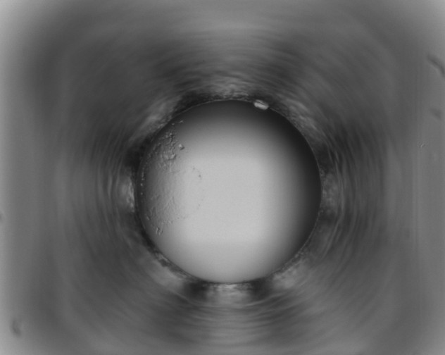 X0000096450622200801311452