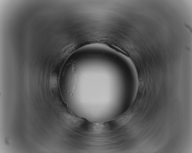 X0000096450623200801311452