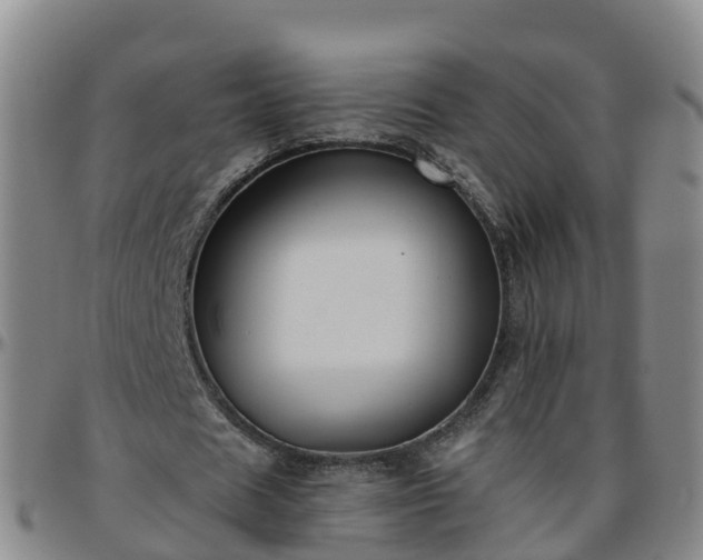 X0000096450625200801311451