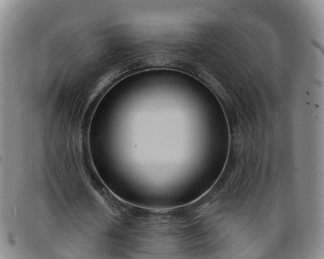 X0000096450626200801311451