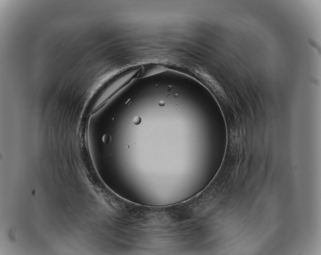 X0000096450628200801311451